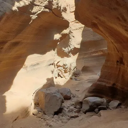 Mariola - Centenaria Las Palmas de Gran Canaria