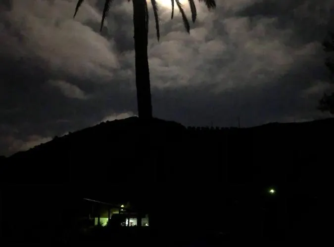 Mariola - Centenaria Las Palmas de Gran Canárias