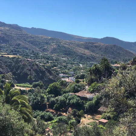 Mariola - Centenaria * Las Palmas de Gran Canaria
