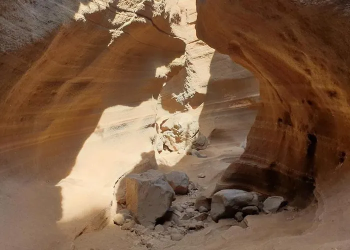 Mariola - Centenaria Las Palmas de Gran Canaria