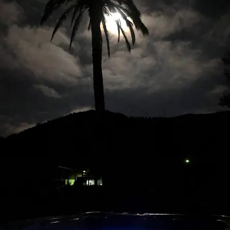 Mariola - Centenaria לאס פאלמס דה גראן קנאריה