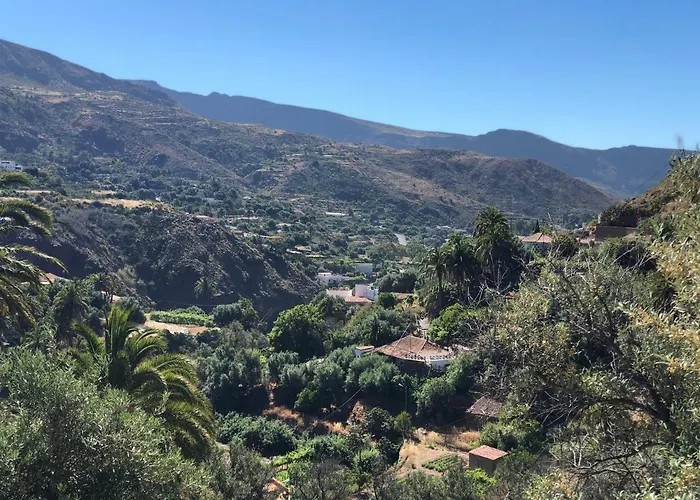 Mariola - Centenaria * Las Palmas de Gran Canaria
